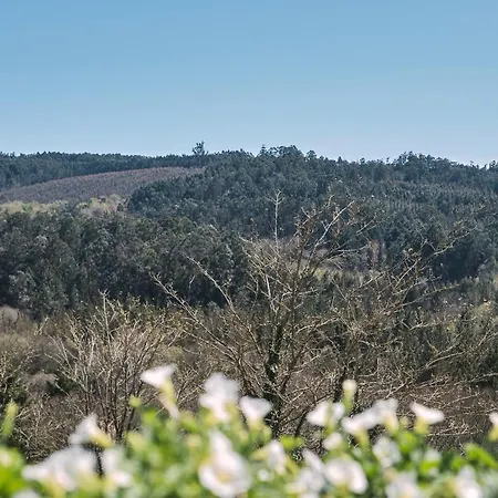 A Solaina 3 Гостевой дом *