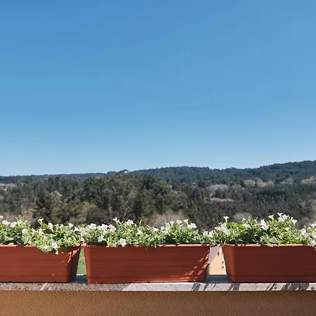 Gasthuis A Solaina 3 O Pedrouzo