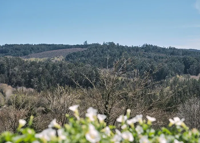 A Solaina 3 招待所 *