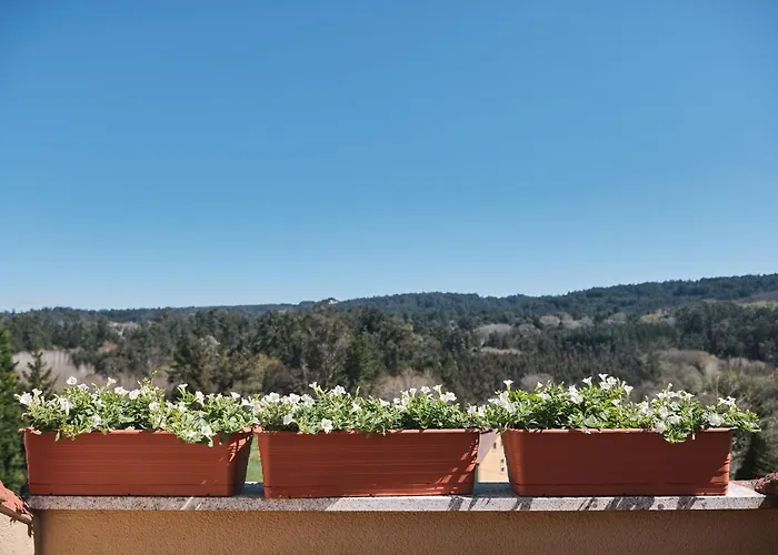 招待所 A Solaina 3 欧德鲁佐